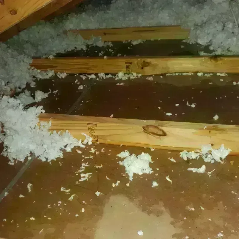 Attic Water Damage in Mission, TX