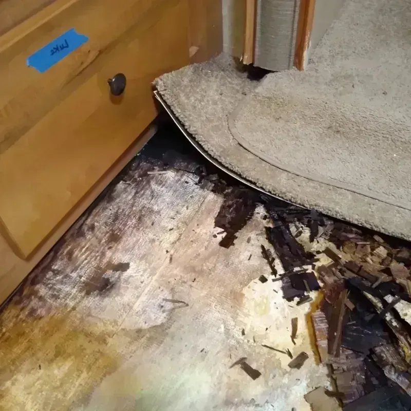 Wood Floor Water Damage in Mission, TX